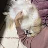 嘉山モモさん