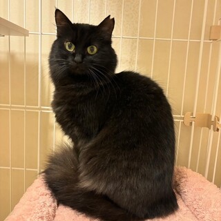 6/29千葉♡ふわふわ可愛い♡わかめちゃん