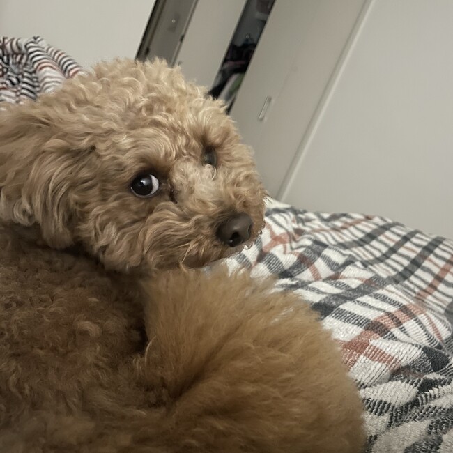 えるすりーのカバー写真