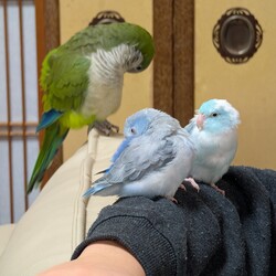 「打ち解けてきた？」サムネイル3