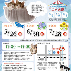 ねこの譲渡会＠JR芦屋駅から徒歩3分