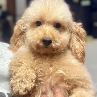 利口なラキちゃん♪