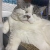 みふろむ
