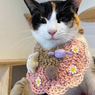 なでなで大好きマイペースレディ！