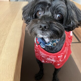 添い寝のパートナー♥マイペースなまったり男子