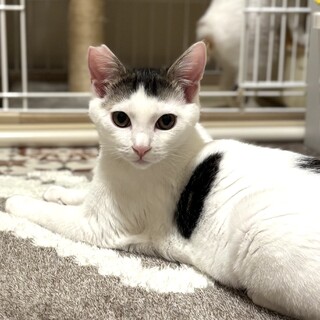 色白可愛いやんちゃボーイ♪