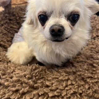 外飼いネグレクトからの救出！！