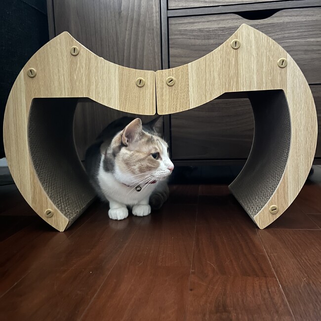 mamirokのカバー写真