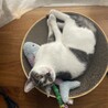 の写真