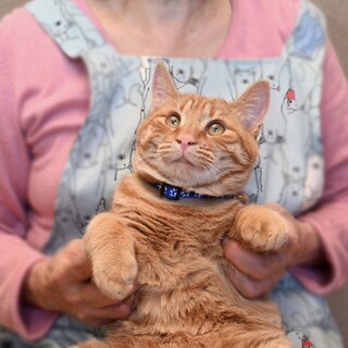  大人しくておっとり優しい⭐️のび太君