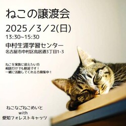 猫の譲渡会