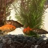 とても仲良しです！