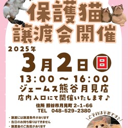 秘密結社ねこのひげ♡保護猫譲渡会