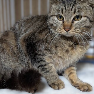 凍える寒さの中で一人ぼっちになってしまった男の子