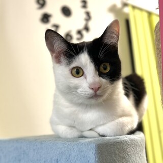 3/2西千葉ෆ⃛ビビリ女子ෆ⃛ハーフちゃん