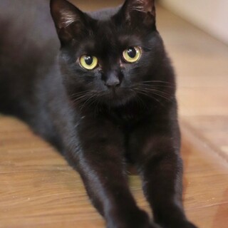 お顔まんまるマイペースな女の子