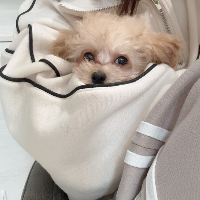 ちょこ.のカバー写真