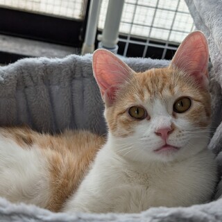 生後8か月仲良し姉妹です☆