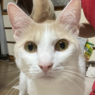 ミルミル  6.3kg!