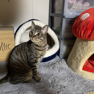 食いしん坊でユニークな男の子