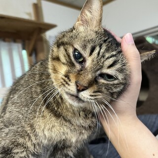 穏やかな　可愛いミラちゃん