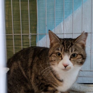 ありがとうございました★可愛らしい　こはるちゃん