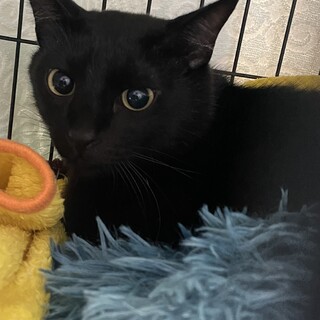 イケメンアイちゃん