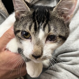 里親決定☆甘えん坊のぞみ君