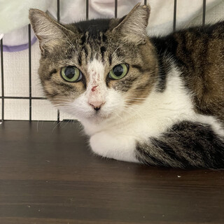 奄美大島出身☆ゆるりちゃん