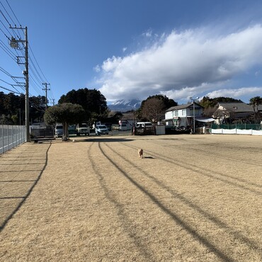 ドッグランで走ってみた