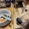 れなりる