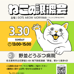 ▼ 保護猫譲渡会 | 名古屋市天白区
