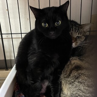 怖がりさんの美人さん♡いちかちゃん８ヶ月