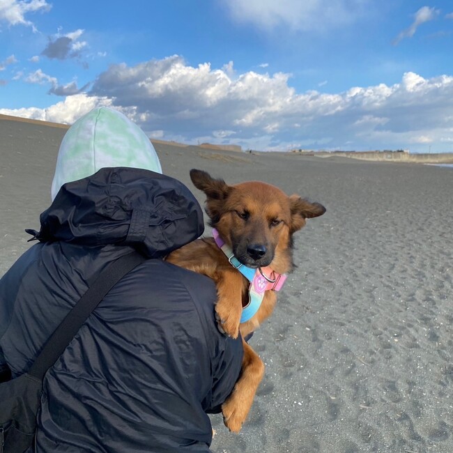 ナルと家族のカバー写真