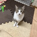 うぶで無垢で無邪気で可愛いすぎなつなぎくんです