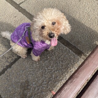 明るさが取り柄です