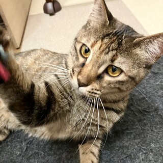 こっそりついて来る！素直な怖がりスーちゃん♡