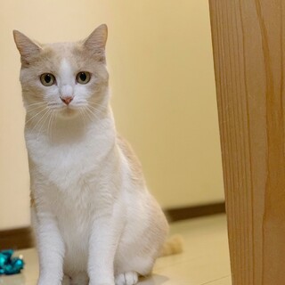 美人ママ♡きぃちゃん　