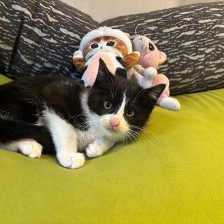 好奇心旺盛な男の子♡サムくん