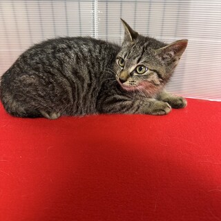 兄弟で幸せ探してここまで来ました❤兄の左吉です