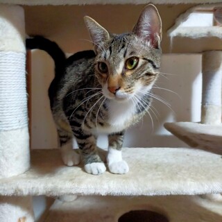 元気いっぱい♡ゴロー