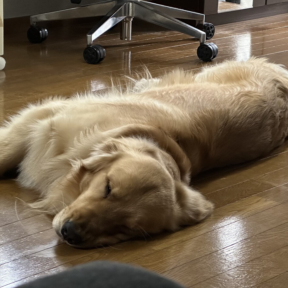 ナルのカバー写真