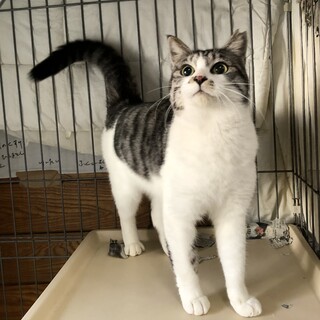 トライアル開始しました　すみれちゃん