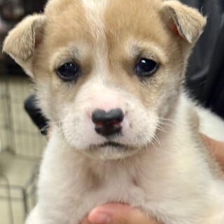 25-W45　可愛すぎぃ～～～♪