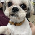 ⭐︎可愛い甘ったれ男子⭐︎少しビビリな風太ちゃん