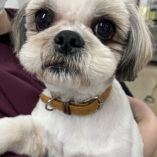 ⭐︎可愛い甘ったれ男子⭐︎少しビビリな風太ちゃん