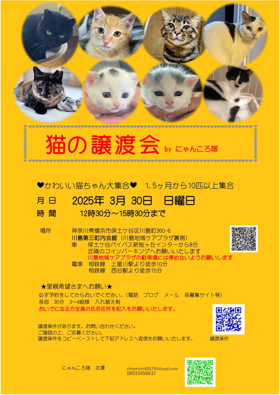 猫の譲渡会 by にゃん」（にゃんころ隊のイベント #25204