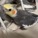 応募ありがとうございます。