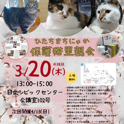 ひたちまちにゃか保護猫里親会