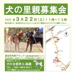 「犬の合宿所in高槻」の里親募集会